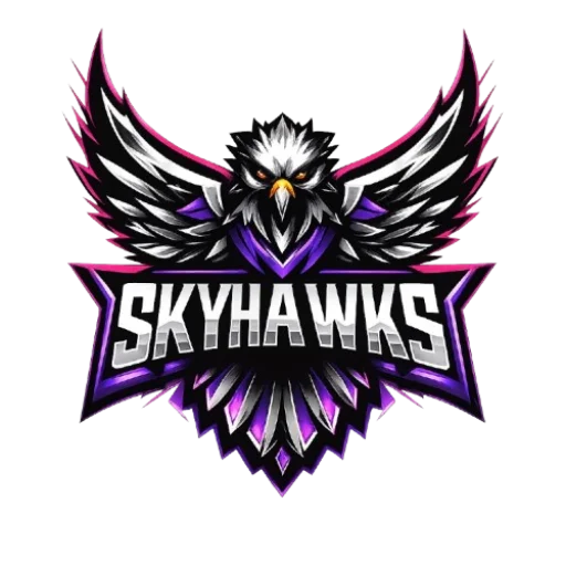 Skyhawks avatar